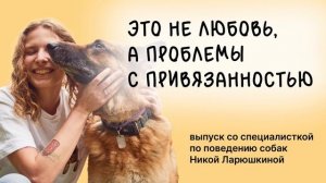 Собака лает и воет дома, когда остаётся одна? Этот выпуск для вас!