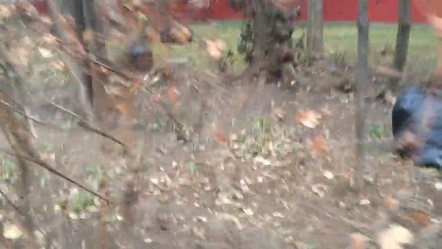 Уборка листьев на Новолесной смотреть онлайн