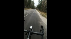 Велопрогулка