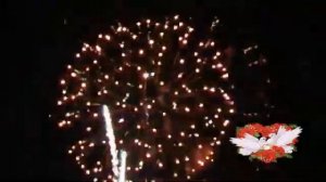 Футажи   Конец Фильма   Свадебный Салют