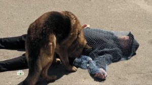 ГНЕЗДИЛОВ СМЕШНЫЕ МОМЕНТЫ "гостья из будущего" СМОТРЕТЬ ДО КОНЦА!!  приколы гнездилова из пес