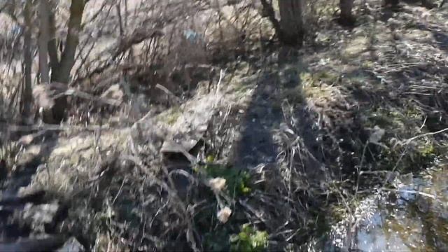 Питомник в деревне.)Строительства тёплой грядки.)