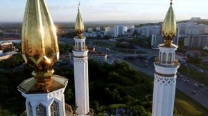 Такой реакции Доцент никак не мог ожидать