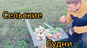 Сельские будни,пеку картошку,салат из черемши.Работаем в селе.