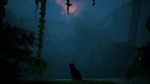 Спасибо за 200 просмотров!