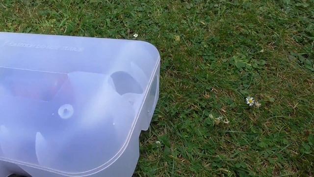 Unboxing Proctor pest stop Rat Trap pt2 2jul15 Cams UK 313p смотреть онлайн