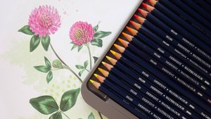 Как выбрать акварельные карандаши и не разориться?