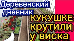 ДЕРЕВЕНСКИЙ ДНЕВНИК. "КУКУШКА"