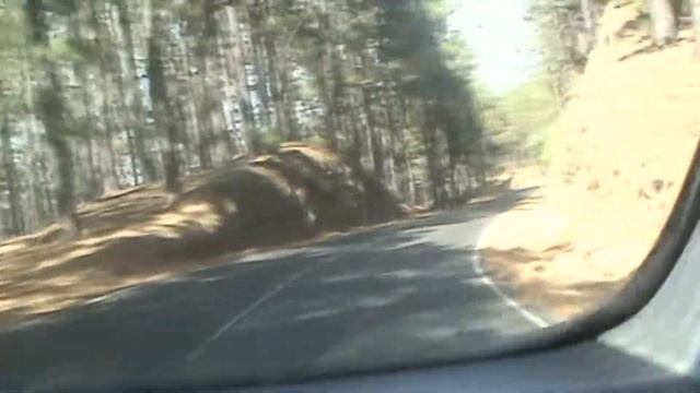 Лес Эсперансо смотреть онлайн