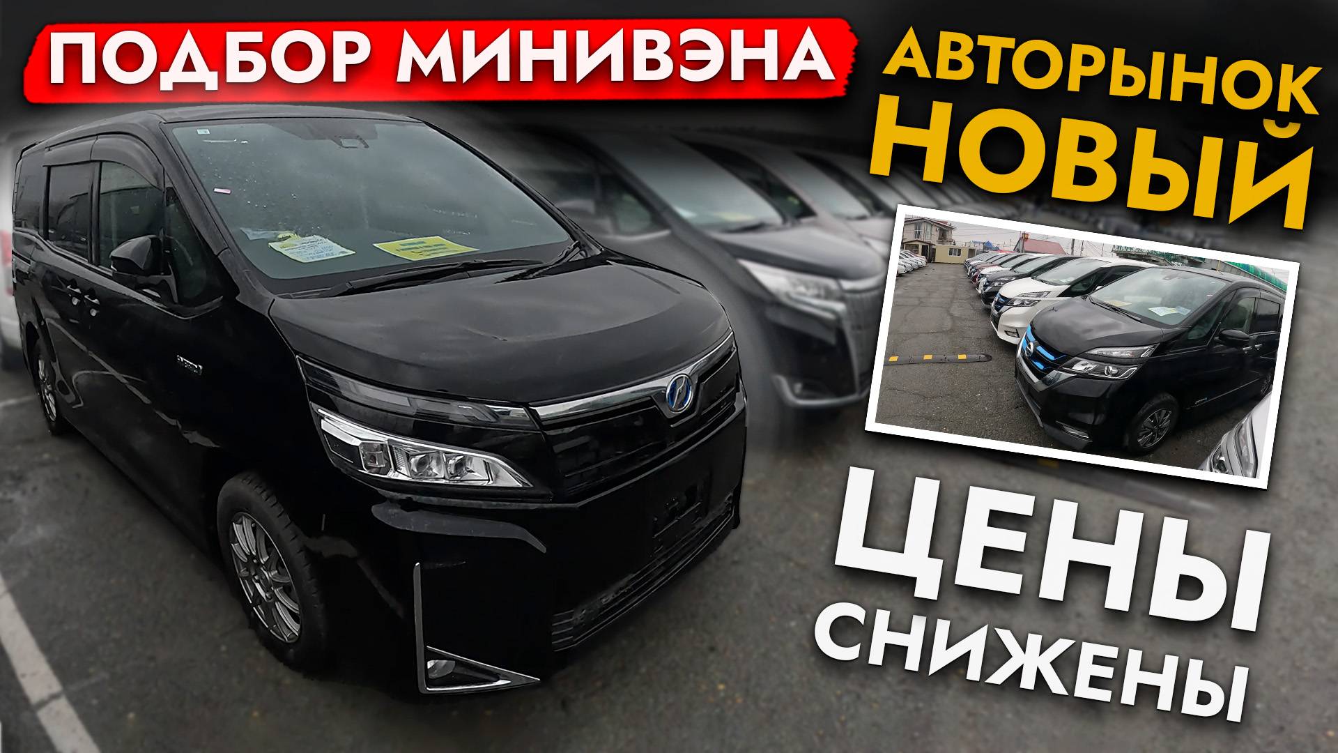 АВТОПОДБОР МИНИВЭНА❗️ ОБЗОР ЦЕН НА NOAH, VOXY, ESQUIRE И ДРУГИЕ АВТО❗️ МАЙ 2025