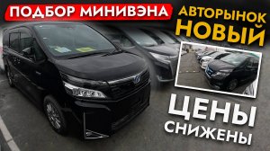 АВТОПОДБОР МИНИВЭНА❗️ ОБЗОР ЦЕН НА NOAH, VOXY, ESQUIRE И ДРУГИЕ АВТО❗️ МАЙ 2025