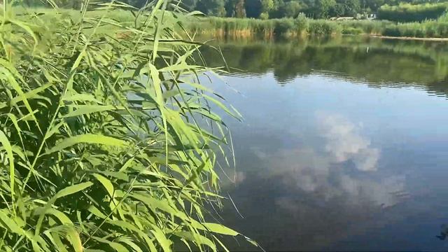 🇲🇩ЛУЧШИЙ ПАРК КИШИНЕВА / ГОРОДСКОЙ ПЛЯЖ И ПАРК / смотреть онлайн