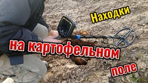 Находки на картофельном поле