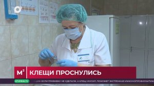 Квадратные метры / Город чистит пёрышки / 29.04.25