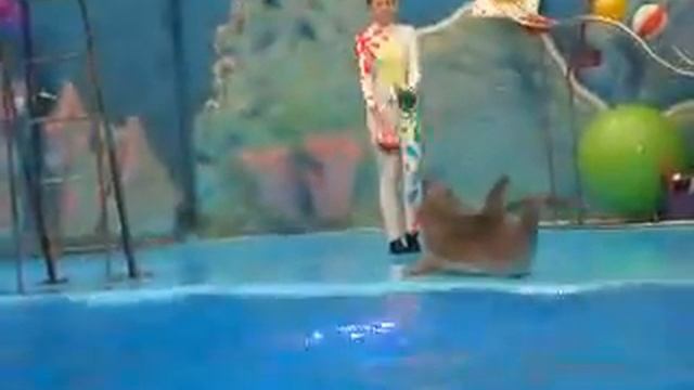 Дельфинарий 2 смотреть онлайн