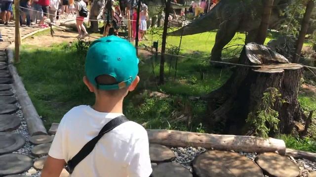 Парк динозавров в Буковель ( Яремча ) смотреть онлайн