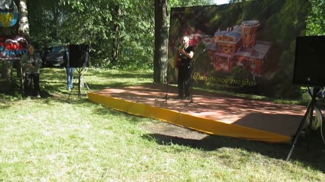 Воздухоплавательный парк  Межрегиональный фестиваль Дворянское гнездо  Кулотино Новгородская област