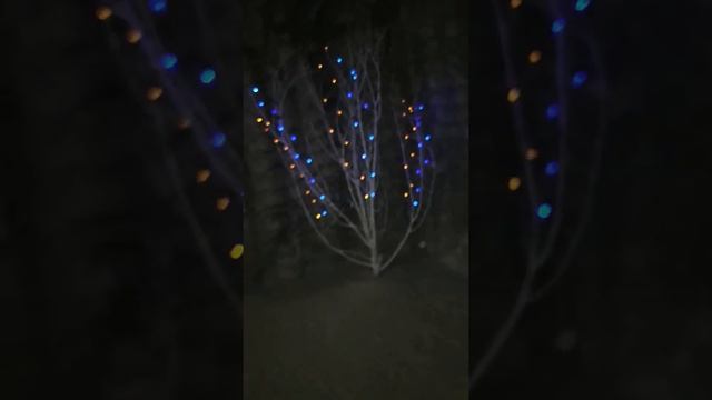 Артёмовская соль Соледар Донецк Украина смотреть онлайн