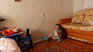 MDK Video l Зря мучал котика