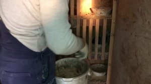 Голуби Гапонова Юрия. г.Селидово. Весна. 0953680406