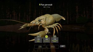 Русская рыбалка 4 - Вечерний стрим. Вьюнок. Марафон ч.7