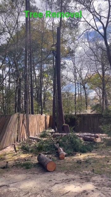 28 de marzo de 2022 смотреть онлайн