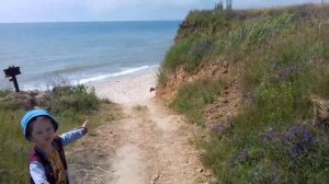 Отель Пеликан, море