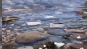 ТОХА СУРА Открывающая все дороги