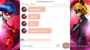 Леди баг и Супер кот раскрывают свои личности! Переписка❤