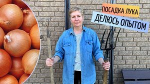 Посадка лука | Делюсь своим опытом