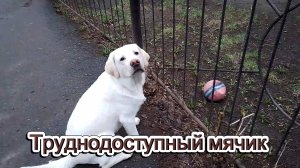 Труднодоступный мячик