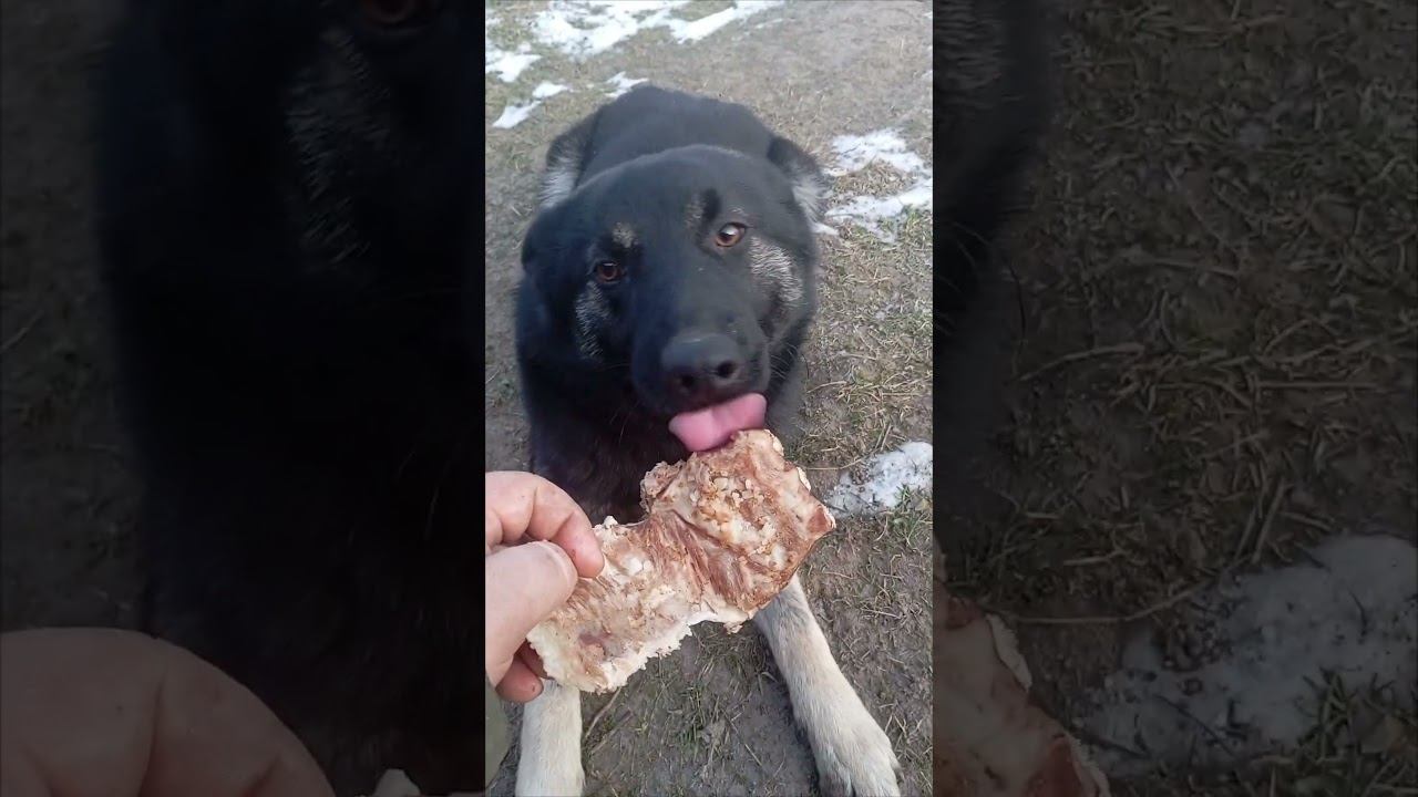 Грей можно смотреть онлайн