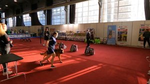 Как проходит хендлинг или показ собак на выставке?