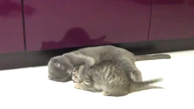 Подкидыши смотреть онлайн