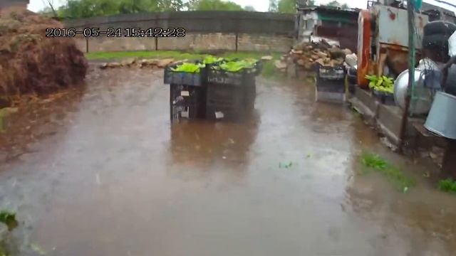 Табак  Дождь 24 05