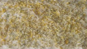 Рулет из лаваша с салями, огурцом и сыром