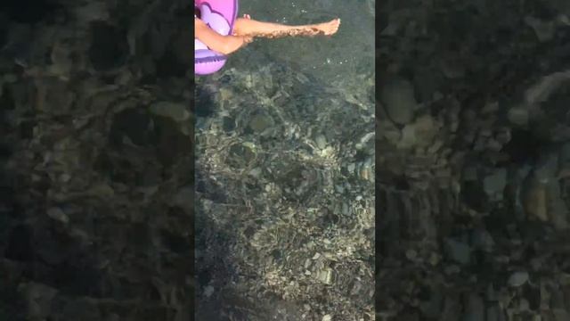 17 ноября 2016 г. смотреть онлайн