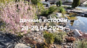 Дачные истории 28-29.04.2025г. Цветочные миксы в ящиках и кашпо. И снова готовлюсь к заморозкам