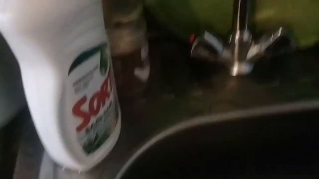 Как кормить лизуна смотреть онлайн