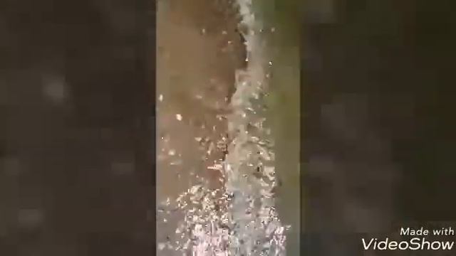 Еду на пляж!!! Купаюсь в сосновке!!! Ем в печках лавочках!!!😊🚘🌊☀🏊🍨🍰🍫🍷🍹🚗 смотреть онлайн