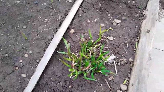 А мы ездили на дачу,чуть не обморозились😊