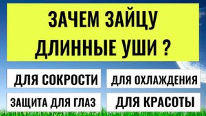 Вы гений или везунчик? Только тест на эрудицию покажет!