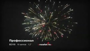 Профессионал 19