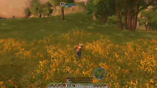 Прохождение Lord of the Rings Online - Фамильные драгоценности (серия 50) смотреть онлайн