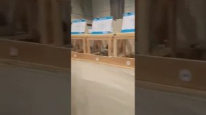 Голуби#Выставка в Германии #спортивный голуби 1) часть