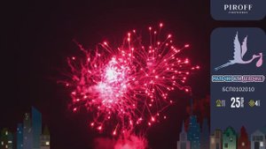 Фейерверк на гендер пати МАЛЬЧИК ИЛИ ДЕВОЧКА? (ДЕВОЧКА) БСП0102010 PIROFF