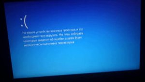 고누리 Fat and Yana Cola КОШМАР!!!!!! has BSOD