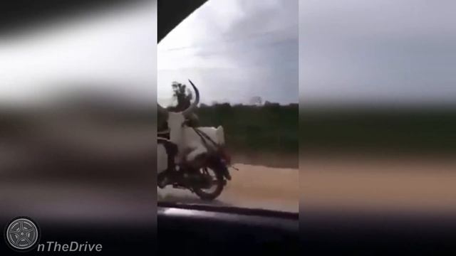 Автоприколы. Авто юмор. Приколы на дороге. Чудаки, хамы, неадекваты. Подборка сентябрь 2021 #37