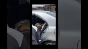 Судьба этой девчушки грустная. Но мы хотим это исправить, пишите нам вWhatsApp +7 (912) 265-94-70