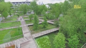 Экспозиция экосистем